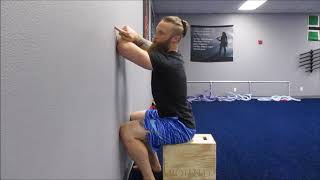 Wall Upper Thoracic Mobilization [upl. by Roane942]