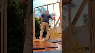 Framing shed walls construction shed diy shedroof building shedwork shedlife garden [upl. by Oluap]