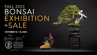 Toronto Bonsai Societys 2023 Fall Show and Sale The Bonsai Zone Oct 2023 [upl. by Osanna]