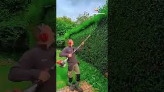 mowing satisfying garden cleaning satisfying grass gardening lawn viral fyp newtechnology [upl. by Nehcterg]