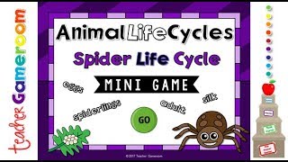 Spider Life Cycle Mini Game [upl. by Ymmas]