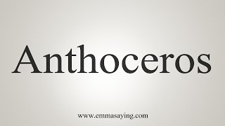 How To Say Anthoceros [upl. by Edny]