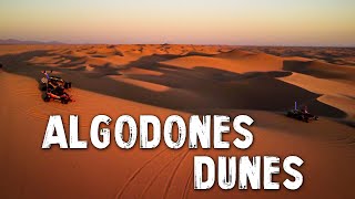 Best Place For Desert OffRoading  Algodones Dunes California [upl. by Ocirrej]