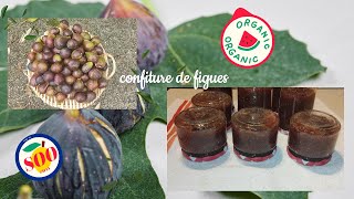 confitures de figues [upl. by Meggi]