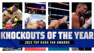 The 4 Best Knockouts of 2023  FIGHT HIGHLIGHTS [upl. by Pravit]