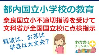 【国立小学校受験】都内国立小学校の教育の特色。指導要領プラスアルファの教育内容 [upl. by Ecila]