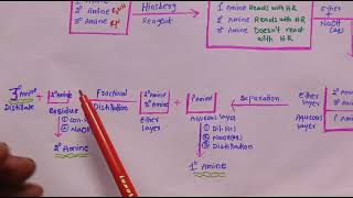Hinsberg method SEPARATION OF AMINESHinsberg method for Separation of Amines [upl. by Pisano201]