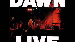 The Dawn  Little Paradise Live [upl. by Nashner724]