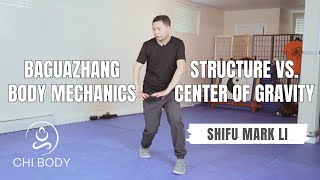 Baguazhang Body Mechanics  Structure vs Center of Gravity [upl. by Liuqnoj]