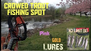 Trout fishing at a Crowded New Jersey river limit out 6 Pink amp Gold lures on 🔥 [upl. by Tammi]