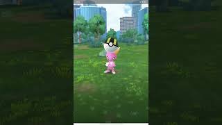 Sneasel Shiny Or What  whats happen pokemon shinypokemon [upl. by Artined982]