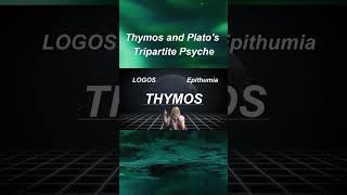 Thymos and Platos Tripartite Psyche [upl. by Ehcar50]