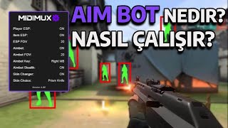 Aim BOT Nedir Nasıl Çalışır  Game Security [upl. by Hairaza]