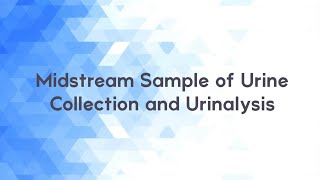 Midstream Sample of Urine Collection and Urinalysis [upl. by Esinahs766]