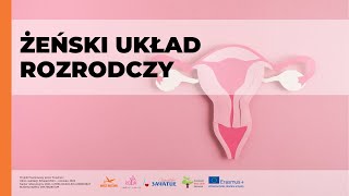 Jak działa żeński układ rozrodczy [upl. by Ardnaik]