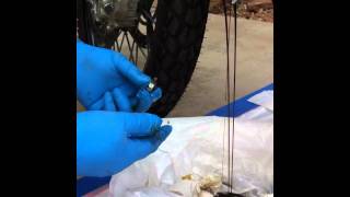 Part 2 KTM 990 Adventure Oil Change [upl. by Desta]