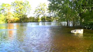 100810  The flooded Black River in Lowville NY day 3 [upl. by Hilten]