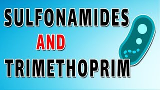 Sulfonamides and Trimethoprim [upl. by Mulderig]