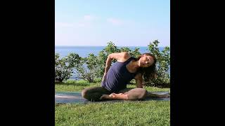 Can 7 minutes of Somatic Exercises release tension and emotion [upl. by Thury803]