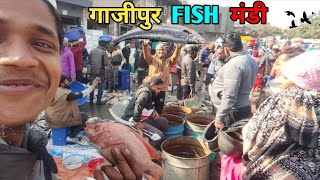 Ghazipur Fish Mandi rete today 2024  Ghazipur Fish Market Delhi  fish market delhi [upl. by Nosak946]