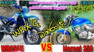 Honda Hornet 250 cb250f vs Yamaha WR250x compare video in Sinhala  Sri Lanka [upl. by Eiromem]