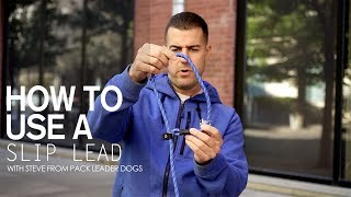 How to use a Slip Lead with Steve from Pack Leader Dogs [upl. by Llewoh630]