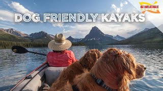 Dog Friendly Kayaks [upl. by Orgell251]