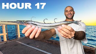 18 Hours Only Using Live Bait On A Pier [upl. by Nawor]