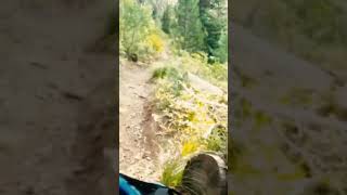 TW200 Singletrack yamahatw200 tw200 [upl. by Kalk]