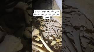 حسبي الله ونعم الوكيل هذا من فعل المجرم 💔 اكسبلور عبارات اقتباس حالاتواتساب اقتباسات [upl. by Imit]