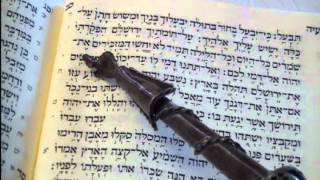 Haftorah Reading for Parashat Nitzavim Rabbi Moshe Weisblum קריאת הפטרה לפרשת ניצבים הרב משה ויסבלום [upl. by Aitnuahs]