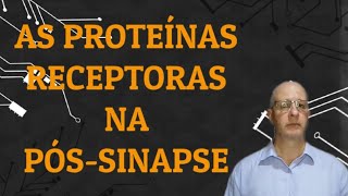 As proteínas receptoras na póssinapse [upl. by Aloin]