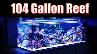 BREATHTAKING Reef Aquarium HD 104 Gallons [upl. by Ezana]