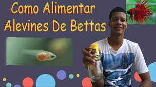 Como Alimentar Alevines de Bettas y todo tipo de peces  Alimentos de rápido crecimiento [upl. by Eirod691]