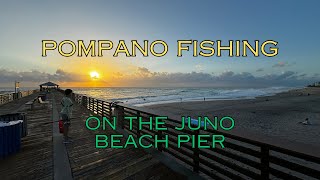 Fishing on the Juno Beach Pier [upl. by Joly]