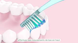 Comment se brosser les dents [upl. by Lenny]