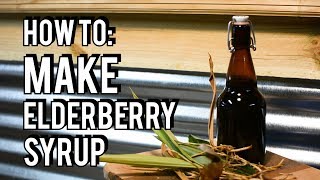 How to  Make Elderberry Syrup [upl. by Miner829]