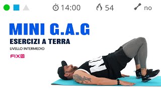 Esercizi Per Gambe Addominali e Glutei Allenamento Veloce GAG [upl. by Joly]