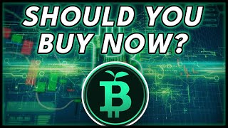 PRESALE WITH PROFIT POTENTIAL🚨 Green Bitcoin Presale Review [upl. by Notlem]