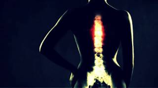 ELECTROMAGNETIC FIELD TO RESONATE amp BALANCE THE SPINE [upl. by Laersi]