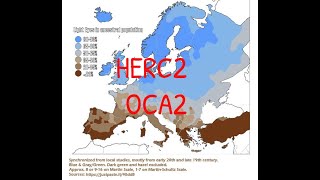 The Origins Of Blue Eyes OCA2HERC2 phylogenetic tree [upl. by William]