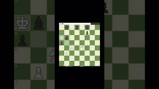 Mikhail Tal Brilliancy chess brilliant doublebrilliant brilliancy [upl. by Mayworm]