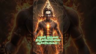 பழனி முருகன் திருக்கோவிலின் ஆச்சரியங்கள் facts murugan palani muruga bogar tamil history [upl. by Adnyleb]