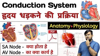 हृदय धड़कन  Heart Conductive System  Anatomy and Physiology  Anatomy in hindi  Physiology [upl. by Maximo]