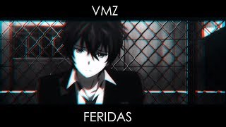 VMZ  Feridas [upl. by Lavena]