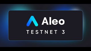 ALEO TESTNET  300000000 ИНВЕСТИЦИЙ Пошаговый гайд активностей [upl. by Merwyn701]