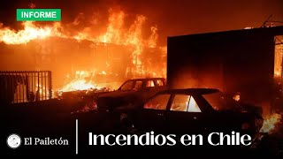 Incendios forestales en Chile dejan cientos de muertos  El Pailetón [upl. by Onitram]