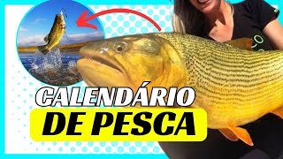 🐟 Calendário de Pesca 2025 🐟 ATUALIZADO [upl. by Alyahsal]