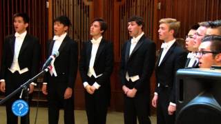 Yale Football Fight Song Medley by The Yale Spizzwinks [upl. by Aihseit452]