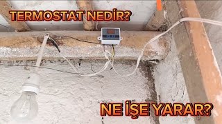 Termostat nedir Ne işe yarar [upl. by Burlie782]